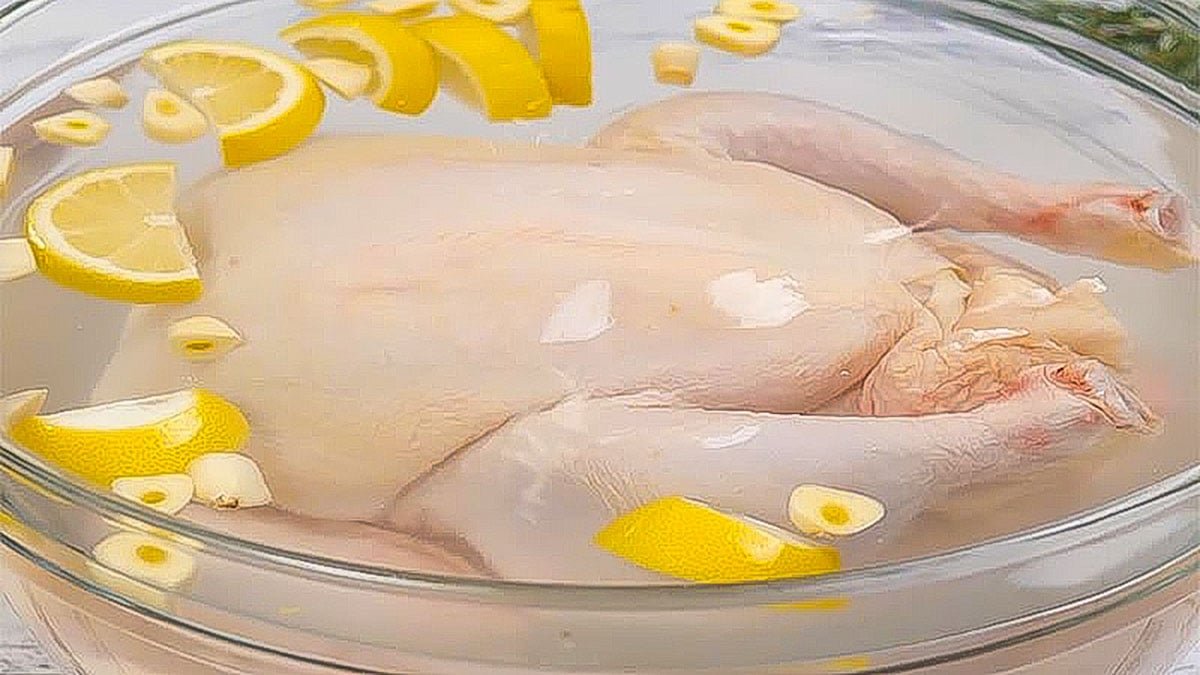trực tiếp đá gà thomo ngày hôm nay trực tiếp đá gà thomo ngày hôm nay